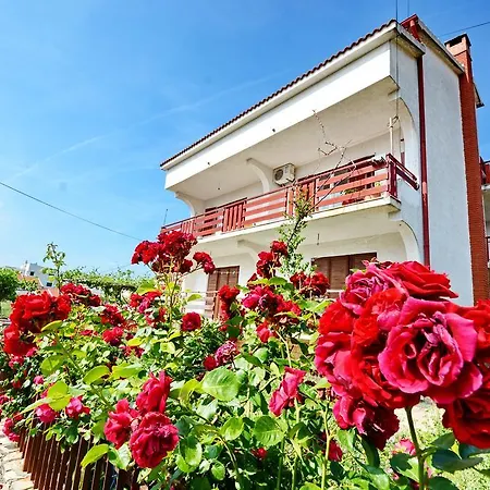 Seka Apartment Zadar